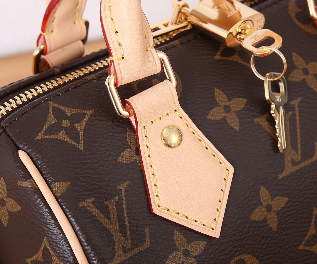 Louis Vuitton SPEEDY BANDOULIÈRE 20