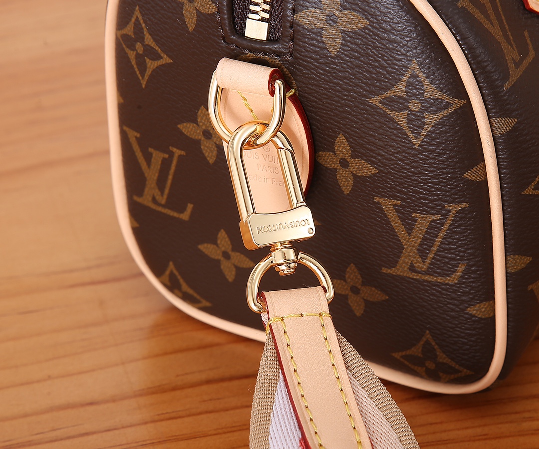 Louis Vuitton SPEEDY BANDOULIÈRE 20