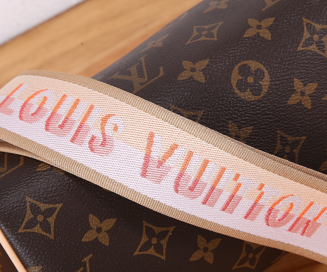 Louis Vuitton SPEEDY BANDOULIÈRE 20