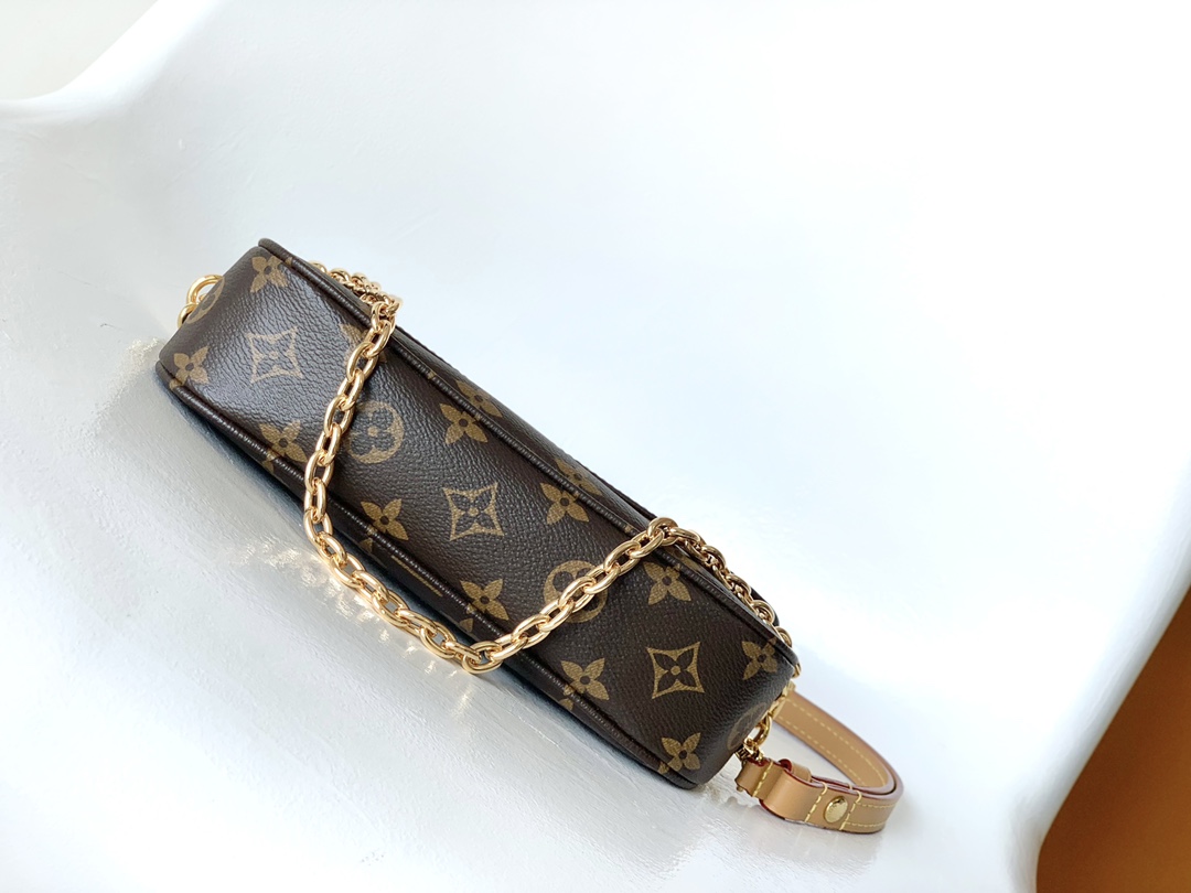 Louis Vuitton WALLET ON CHAIN IVY